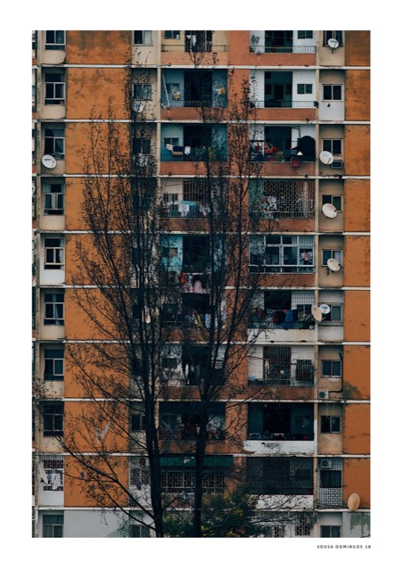 Selected photograph by Sousa Domingos